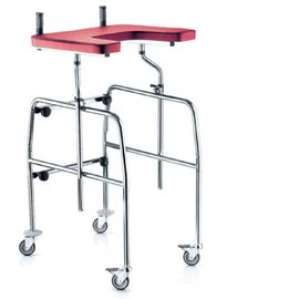 Surace TROTTER 124+ΦΡΕΝΑ ΣΤΙΣ ΠΙΣΩ ΡΟΔΕΣ-ΤΡΑΠΕΖΙ